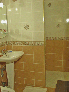 One of the 2 bathrooms with walk-in shower.